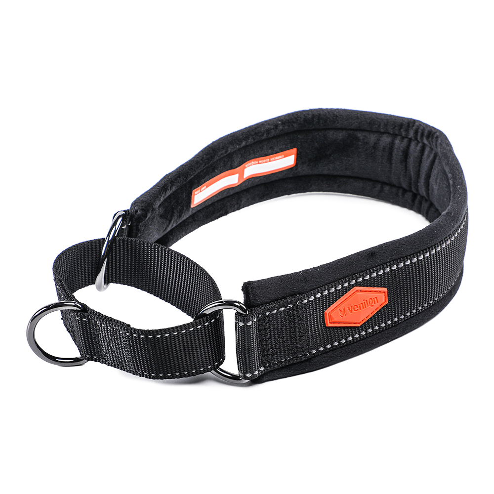 Soft Collar for Dogs
